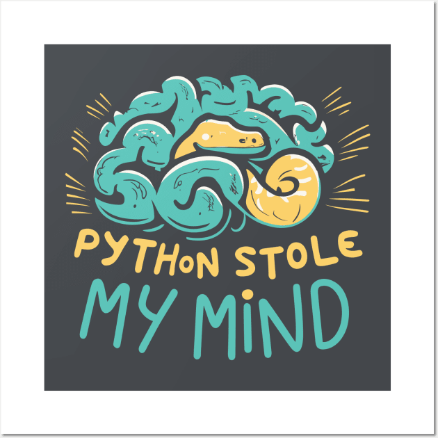 Python stole my mind Wall Art by Reesh